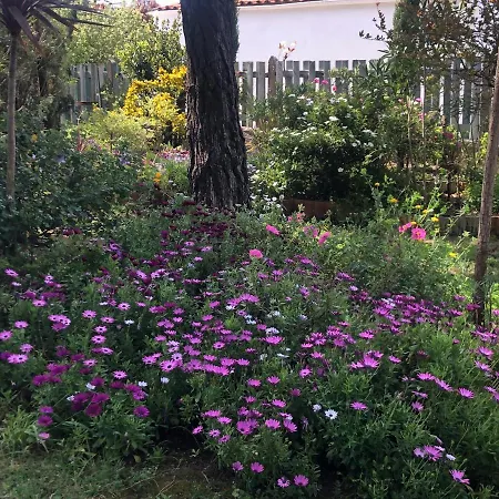 Villa Les Fleurs De Lys, Chic L'enclos Des Lys, Proche De La Saint-Georges-d'Oleron