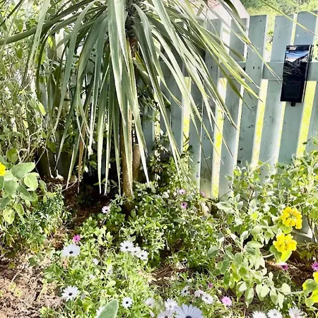 Les Fleurs De Lys, Chic L'enclos Des Lys, Proche De La Villa *