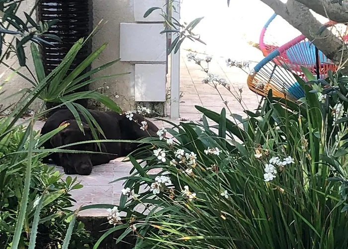 L'enclos Des Lys, Raffinée Proche De La Mer, Linge Inclus Villa