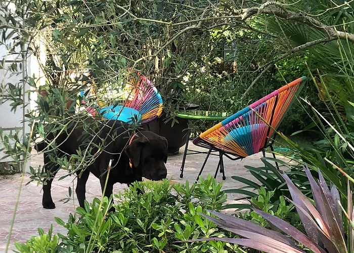 Villa L'enclos Des Lys, Raffinée Proche De La Mer, Linge Inclus