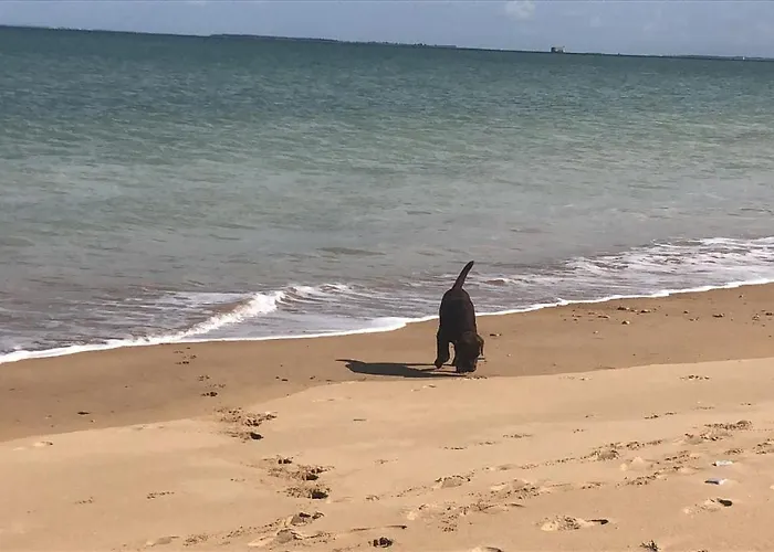 L'enclos Des Lys, Raffinée Proche De La Mer, Linge Inclus Saint-Georges-d'Oleron