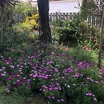 Villa Les Fleurs De Lys, Chic L'enclos Des Lys, Proche De La Saint-Georges-d'Oleron