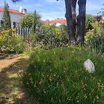 Villa Les Fleurs De Lys, Chic L'enclos Des Lys, Proche De La *