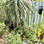 Les Fleurs De Lys, Chic L'enclos Des Lys, Proche De La Villa *