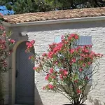 Villa Les Fleurs De Lys, Chic L'enclos Des Lys, Proche De La