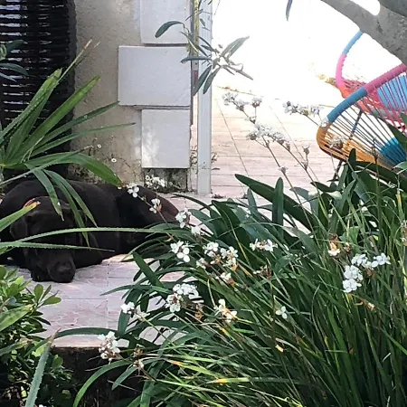 Les Fleurs De Lys, Chic L'enclos Des Lys, Proche De La Mer, Linge Inclus 别墅