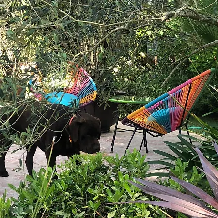 别墅 Les Fleurs De Lys, Chic L'enclos Des Lys, Proche De La Mer, Linge Inclus