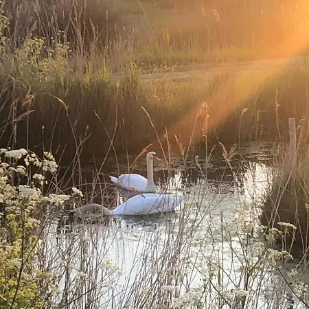 L'enclos Des Lys, Raffinee Proche De La Mer, Linge Inclus Villa Saint-Georges-d'Oleron