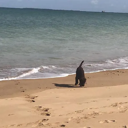 Les Fleurs De Lys, Chic L'enclos Des Lys, Proche De La Mer, Linge Inclus 奥雷龙圣乔治