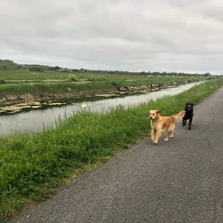 Villa Les Fleurs De Lys, Chic L'enclos Des Lys, Proche De La Mer, Linge Inclus *