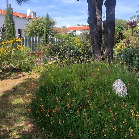 Villa Les Fleurs De Lys, Chic L'enclos Des Lys, Proche De La Mer, Linge Inclus *