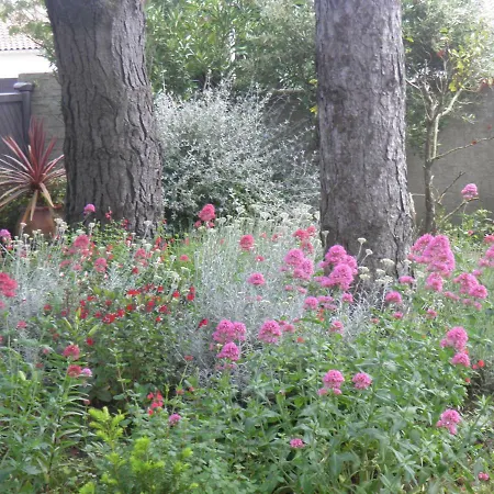 别墅 Les Fleurs De Lys, Chic L'enclos Des Lys, Proche De La Mer, Linge Inclus