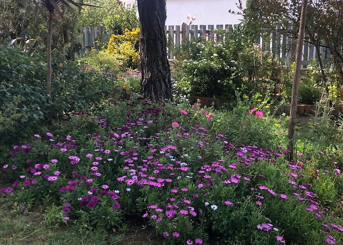 Villa L'enclos Des Lys, Raffinée Proche De La Mer, Linge Inclus Saint-Georges-d'Oleron