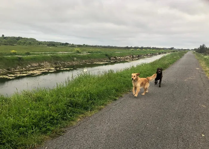 Villa L'enclos Des Lys, Raffinée Proche De La Mer, Linge Inclus *