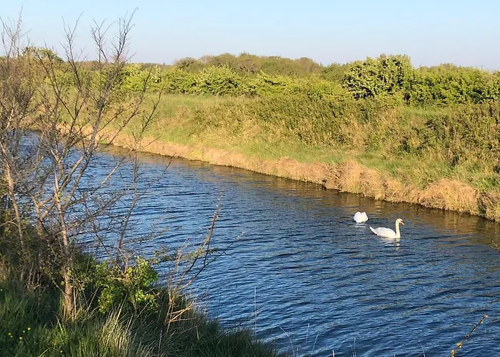 L'enclos Des Lys, Raffinée Proche De La Mer, Linge Inclus * Saint-Georges-d'Oleron